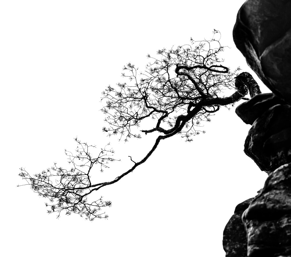 Platz 9 Günter Bollenbacher